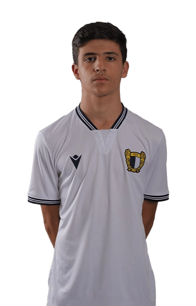 Rui Araújo